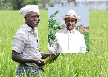 CM KCR Good News To Farmers