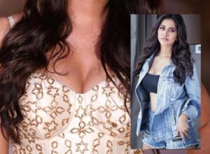 Nabha Natesh Hot Gallery
